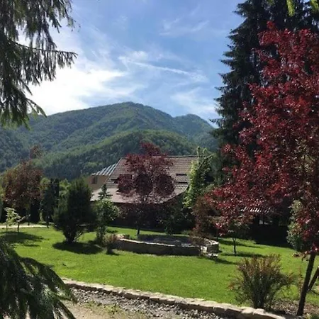 Holiday home Poiana - Apuseni Mountains Pietroasa (Bihor)