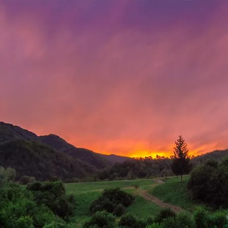 Poiana - Apuseni Mountains Holiday home