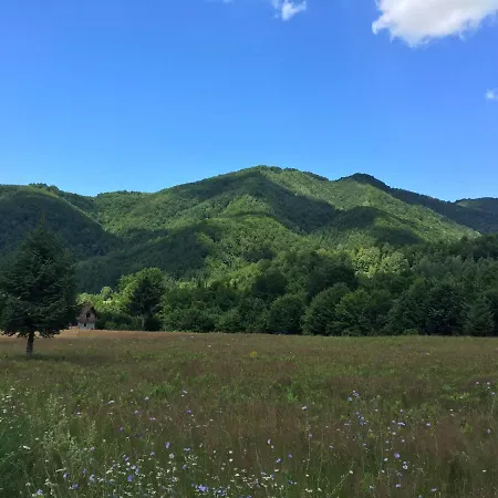 Holiday home Poiana - Apuseni Mountains